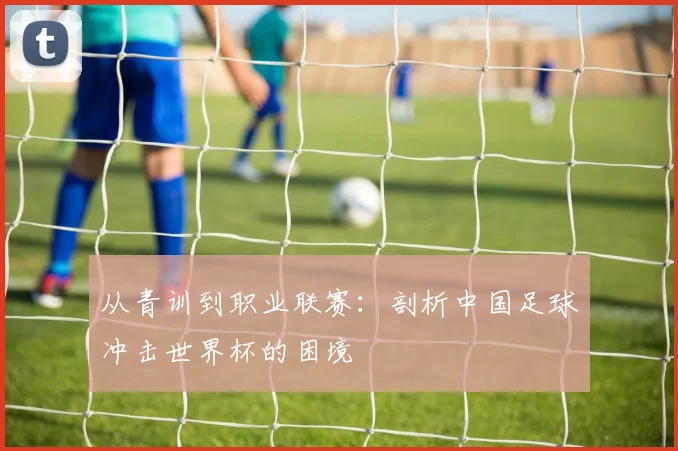 从青训到职业联赛：剖析中国足球冲击世界杯的困境