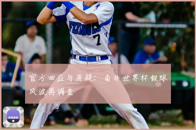 官方回应与质疑：南非世界杯假球风波再调查