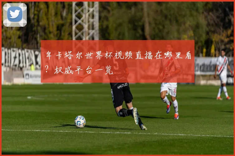 年卡塔尔世界杯视频直播在哪里看？权威平台一览