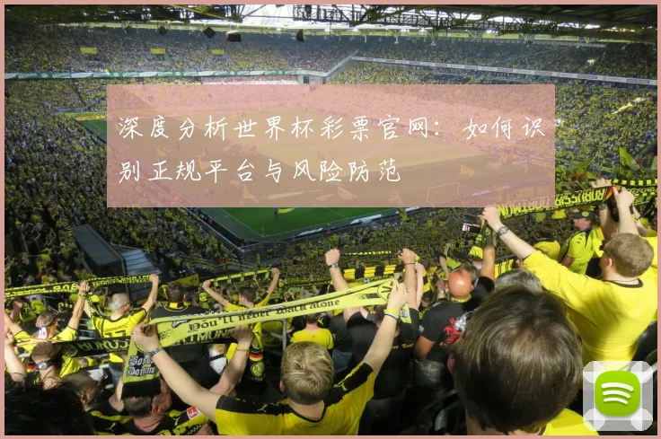 深度分析世界杯彩票官网：如何识别正规平台与风险防范
