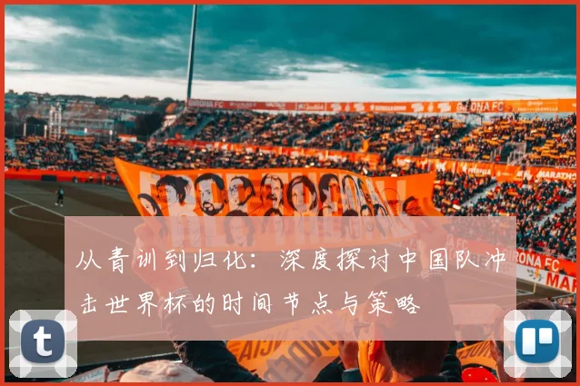 从青训到归化：深度探讨中国队冲击世界杯的时间节点与策略