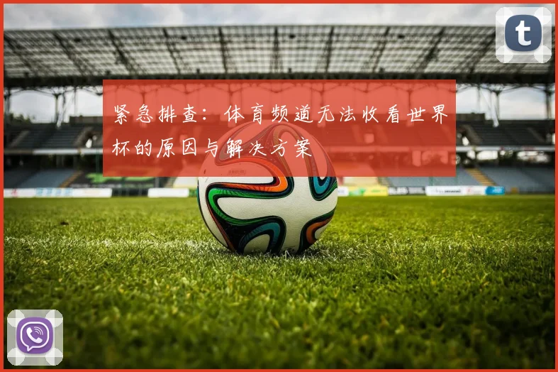 紧急排查：体育频道无法收看世界杯的原因与解决方案