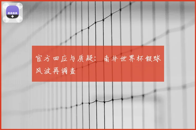 官方回应与质疑：南非世界杯假球风波再调查