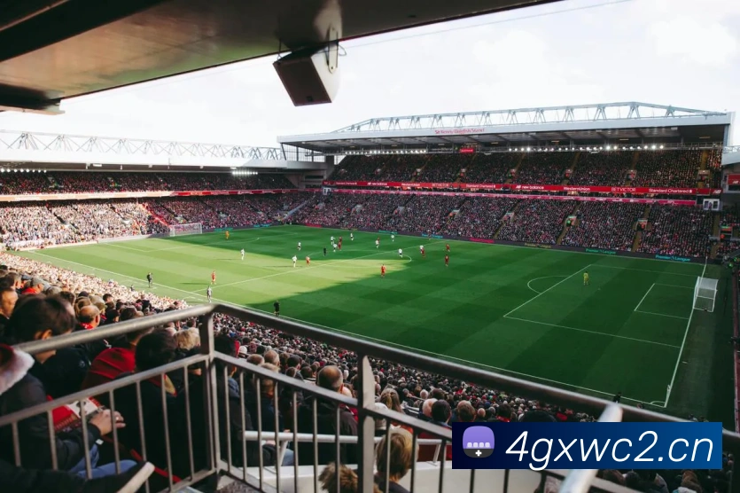 星空官网网页版平台生态图