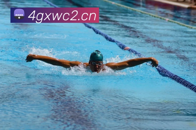 星空官网网页版APP 封面图